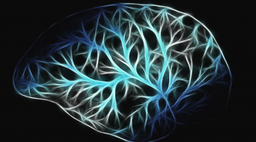 Neurología1 Neurología1